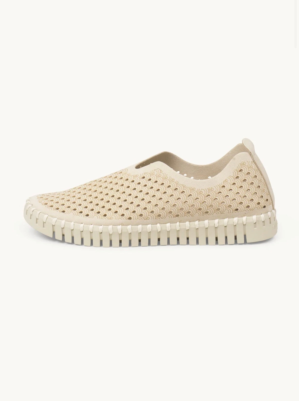 TULIP FLATS - KIT Ilse Jacobsen