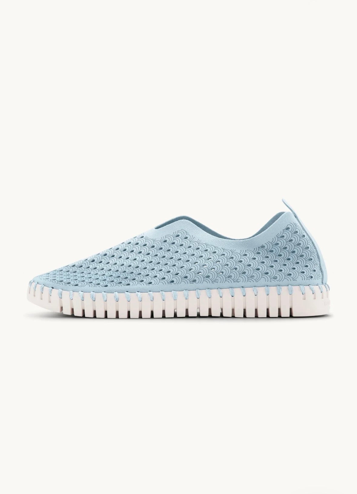 Ballerine Tulip – Light Regatta Ilse Jacobsen