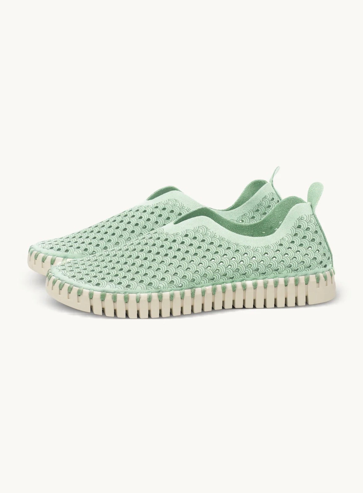 TULIP FLATS - LAUREL GREEN Ilse Jacobsen