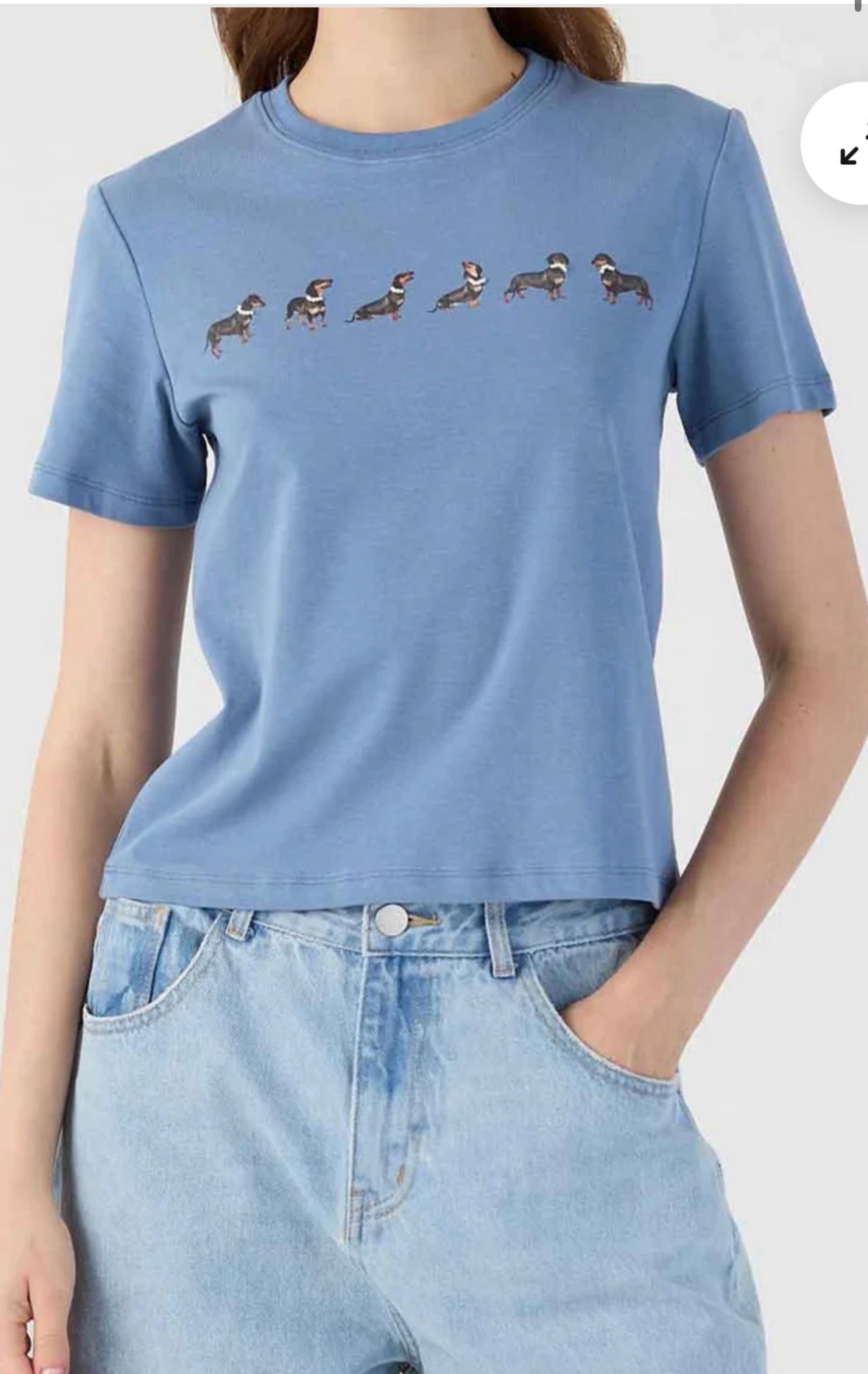 T-shirt azzurra con stampa bassotti Eleh