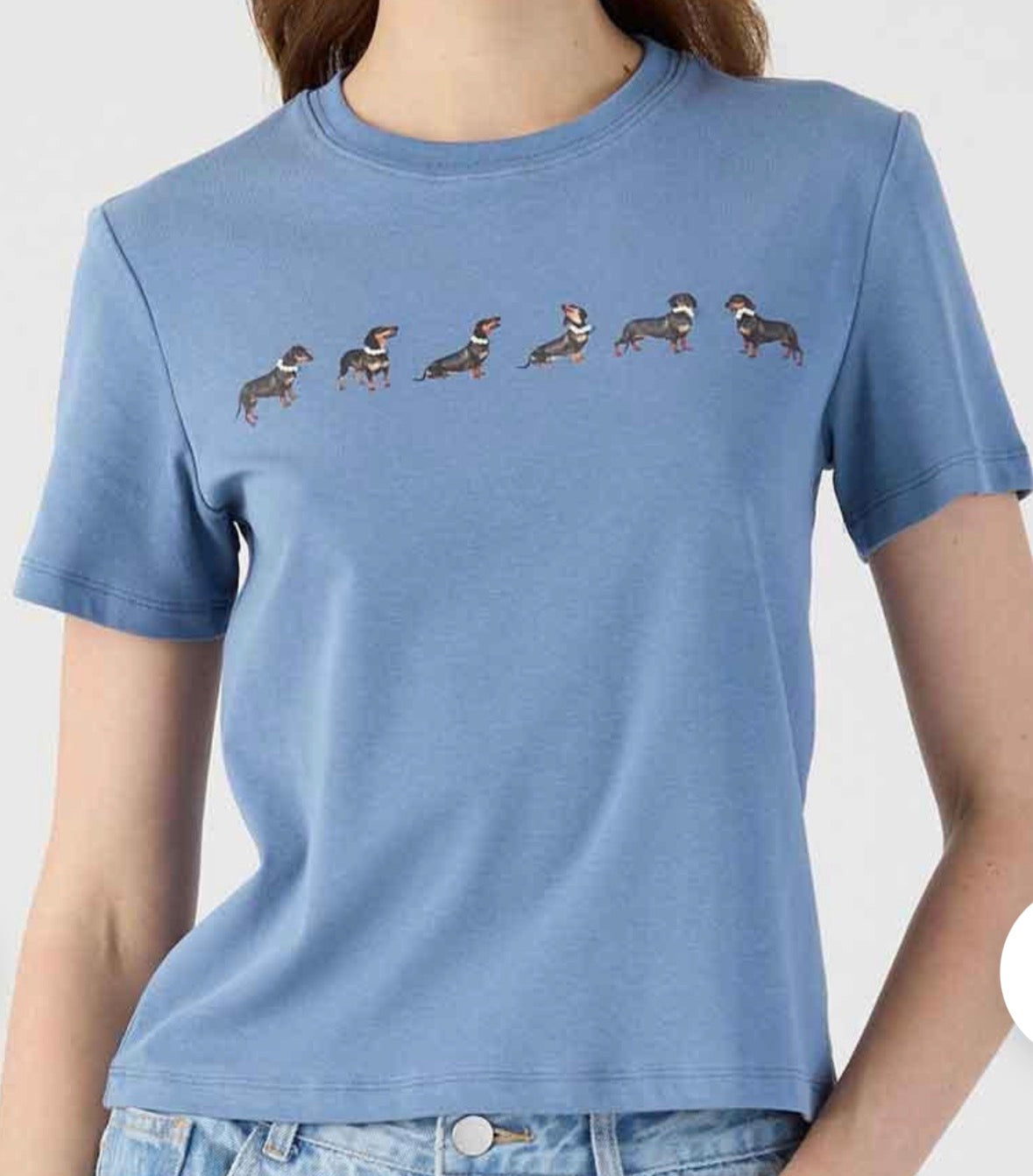 T-shirt azzurra con stampa bassotti Eleh