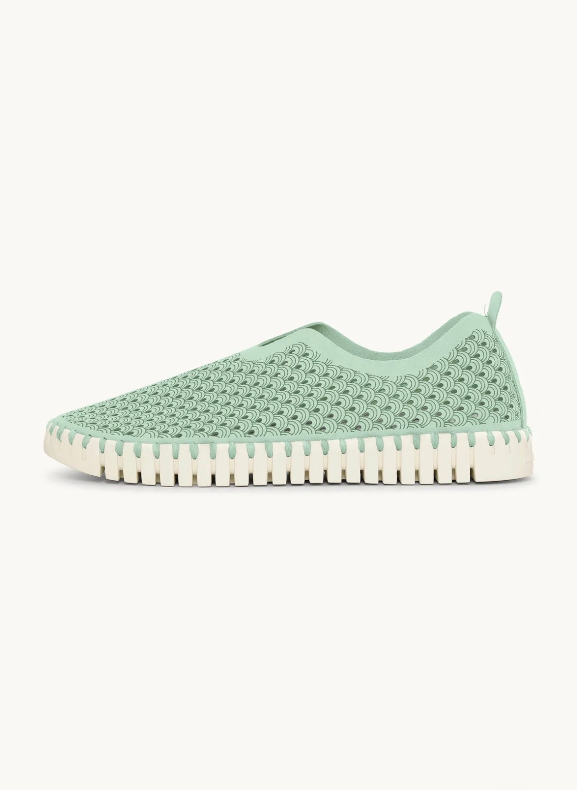 TULIP FLATS - LAUREL GREEN Ilse Jacobsen