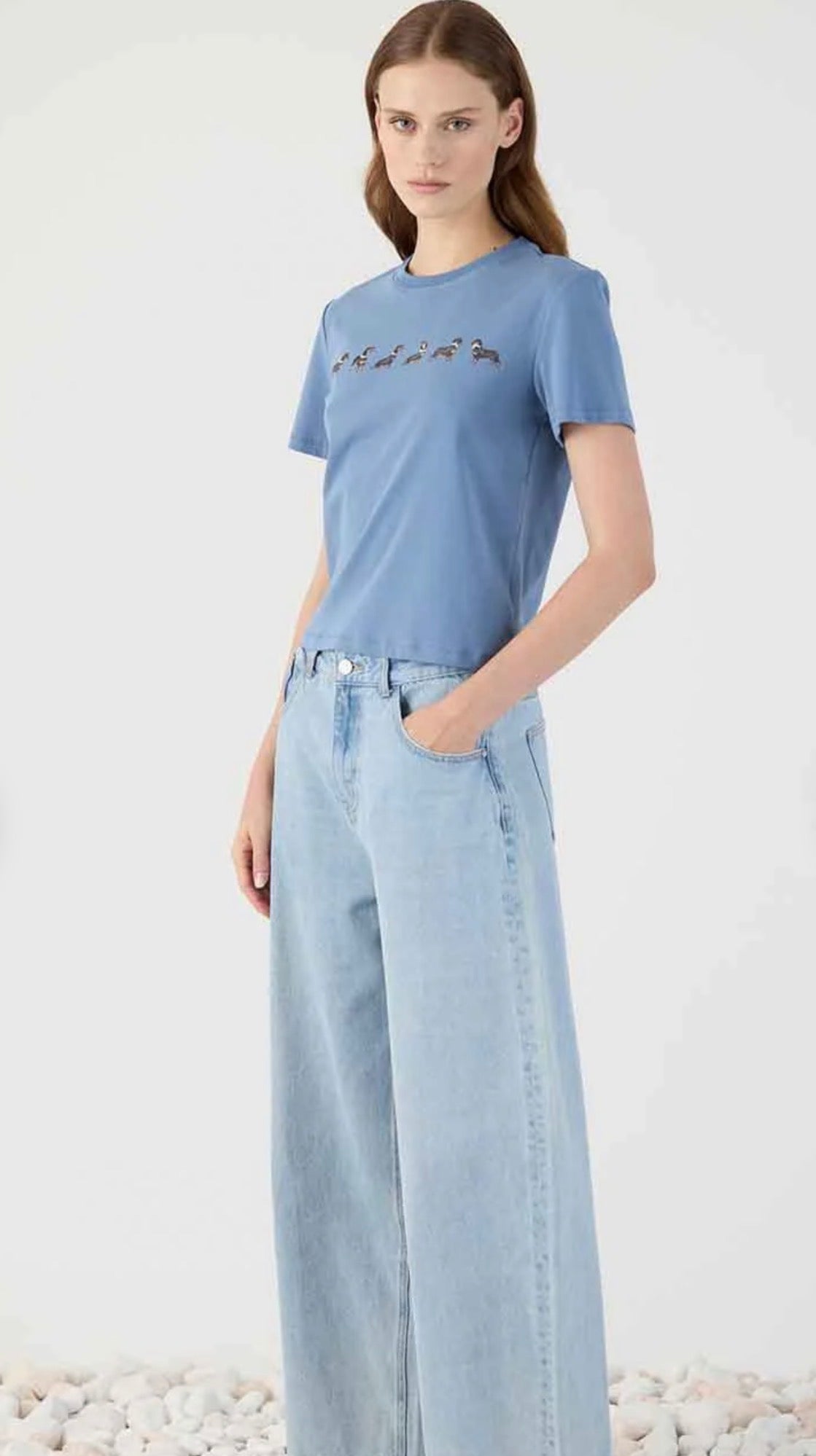 T-shirt azzurra con stampa bassotti Eleh