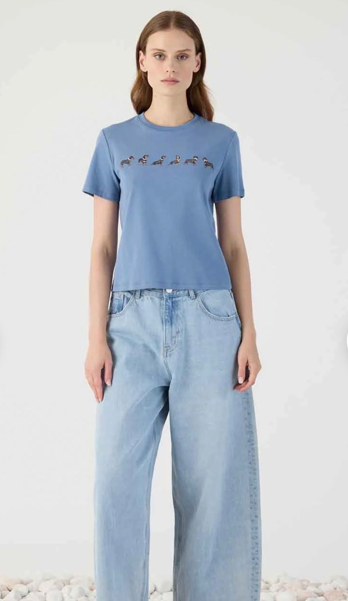 T-shirt azzurra con stampa bassotti Eleh