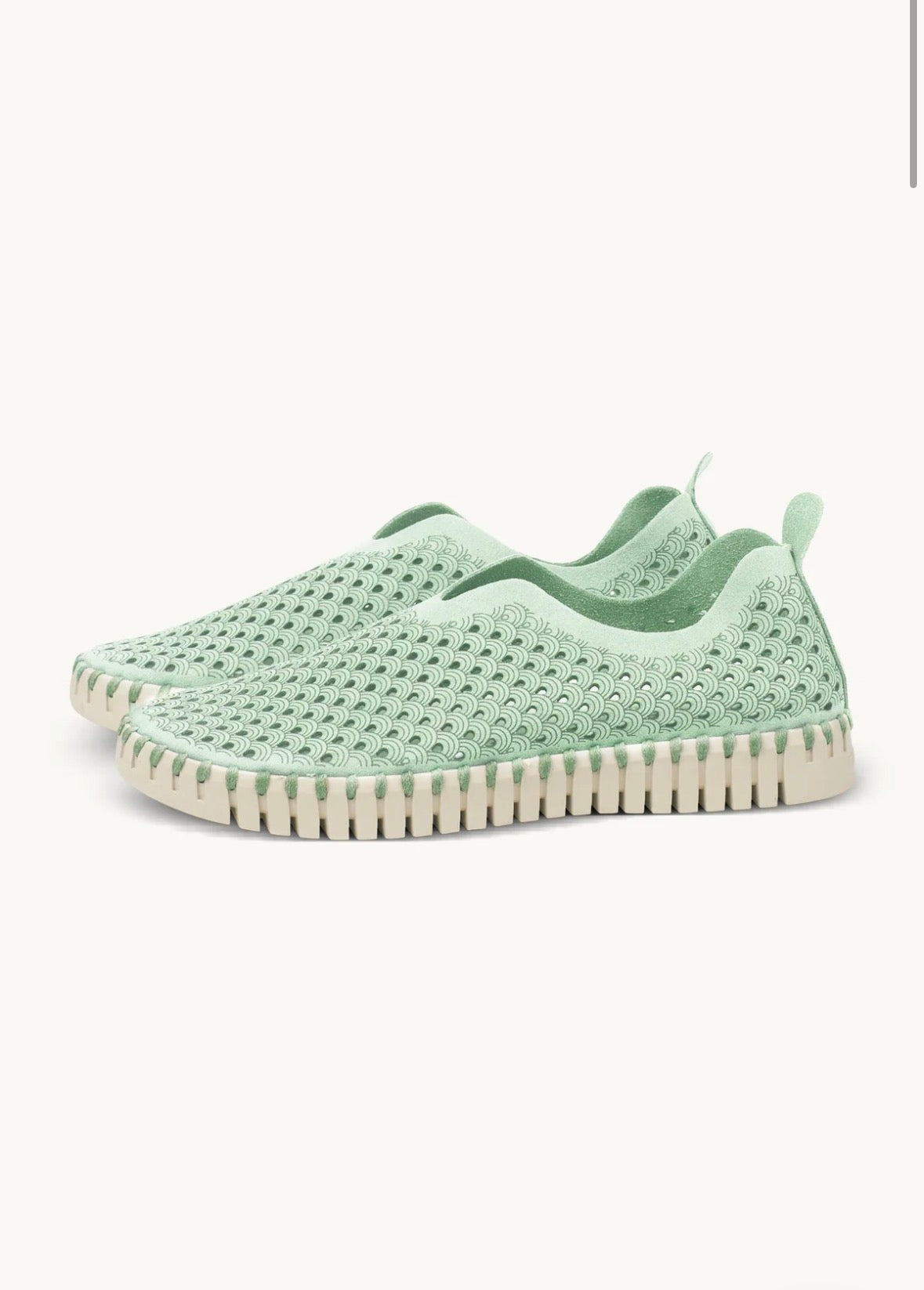 TULIP FLATS - LAUREL GREEN Ilse Jacobsen