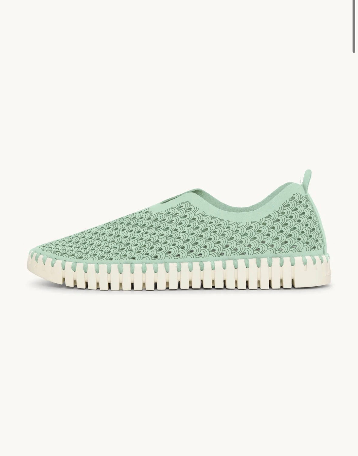 TULIP FLATS - LAUREL GREEN Ilse Jacobsen