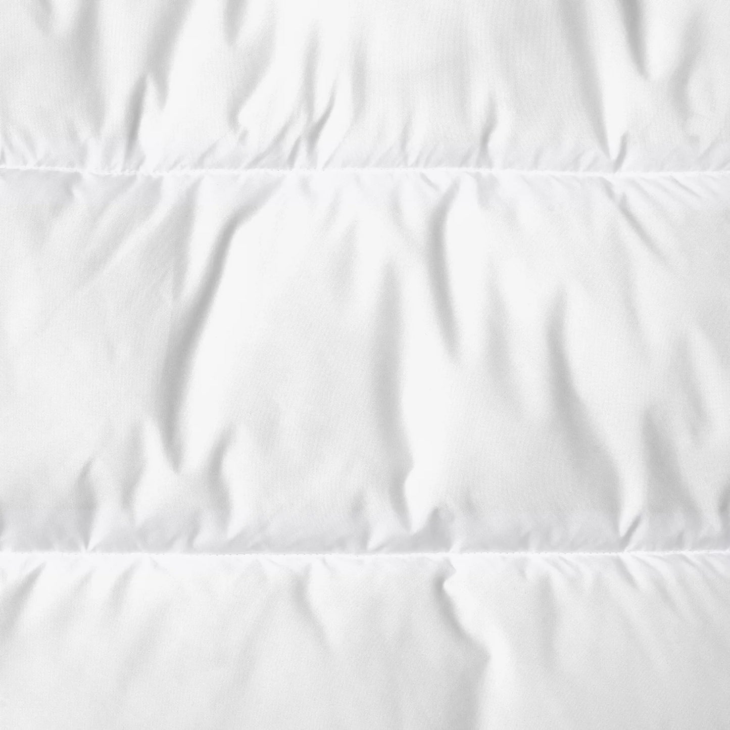 Save The Duck Parka Donna Animal Free Mod.Bethany Bianco